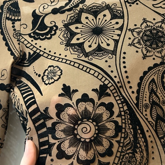 Sheer Velvet Embroidered Top - Picture 2 of 3